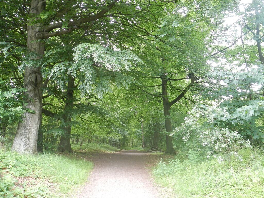 Wandelen rondom Kasteel Hernen in Wijchen