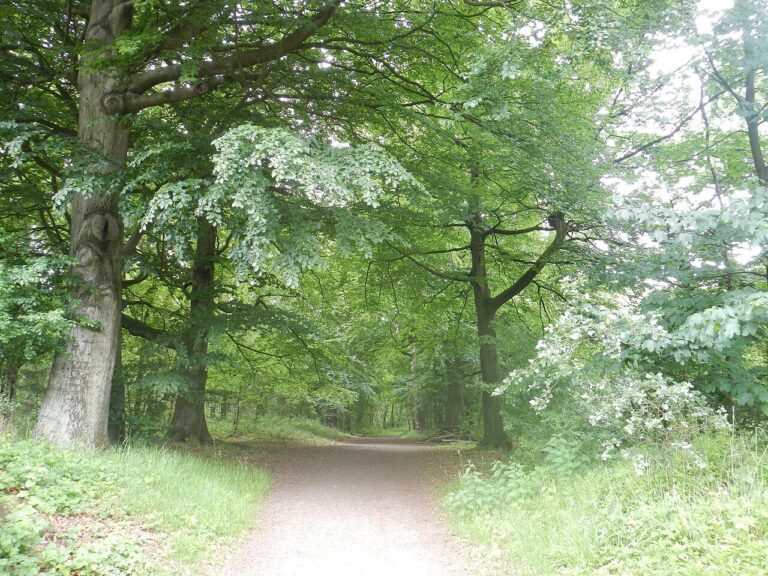 Wandelen rondom Kasteel Hernen — natuur in Wijchen