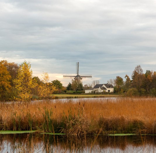 Gezinswandeling met bezoek aan de Hernense Molen